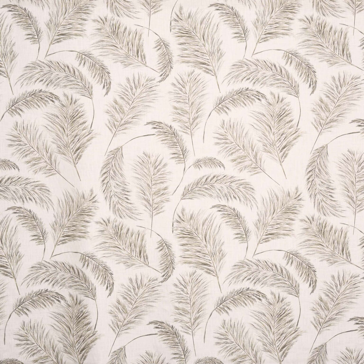 Plumero fabric by Coordonné in Piedra, flat pattern view