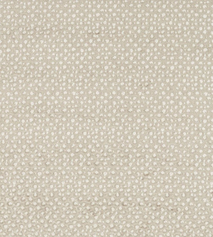 Pokot Fabric by Clarke & Clarke Linen