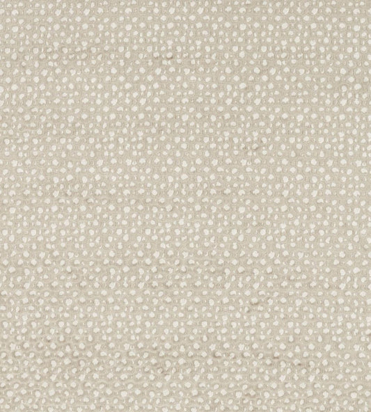 Pokot Fabric by Clarke & Clarke Linen