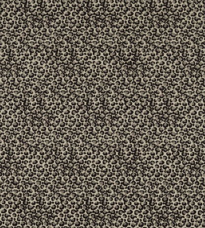 Pokot Fabric by Clarke & Clarke Noir
