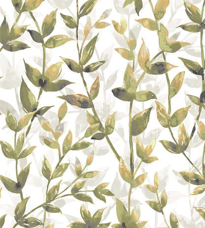 Pomponette Wallpaper by Ohpopsi Earth Amber