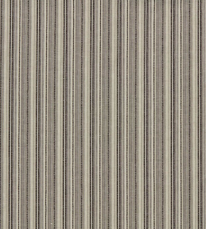 Ponto Fabric by Clarke & Clarke Charcoal