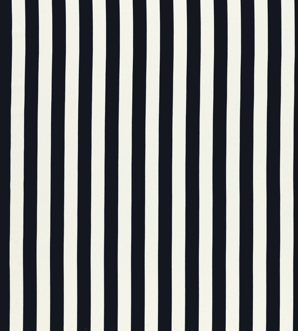 Portland Fabric by Clarke & Clarke Ebony