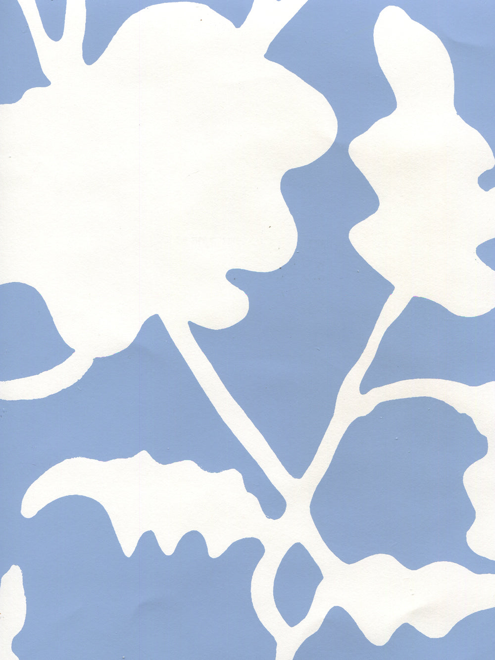 Potalla Background French Blue on White wallpaper by Alan Campbell