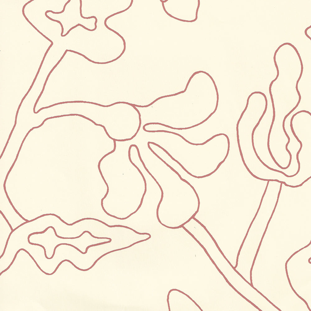 Potalla Outline New Shrimp Off White wallpaper by Alan Campbell