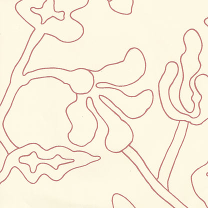 Potalla Outline New Shrimp Off White wallpaper by Alan Campbell