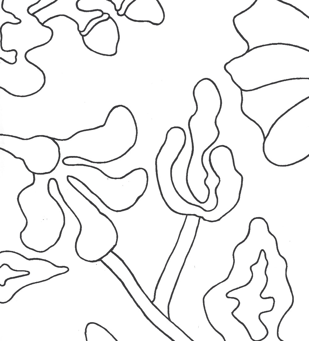 Potalla Outline Black on White wallpaper by Alan Campbell
