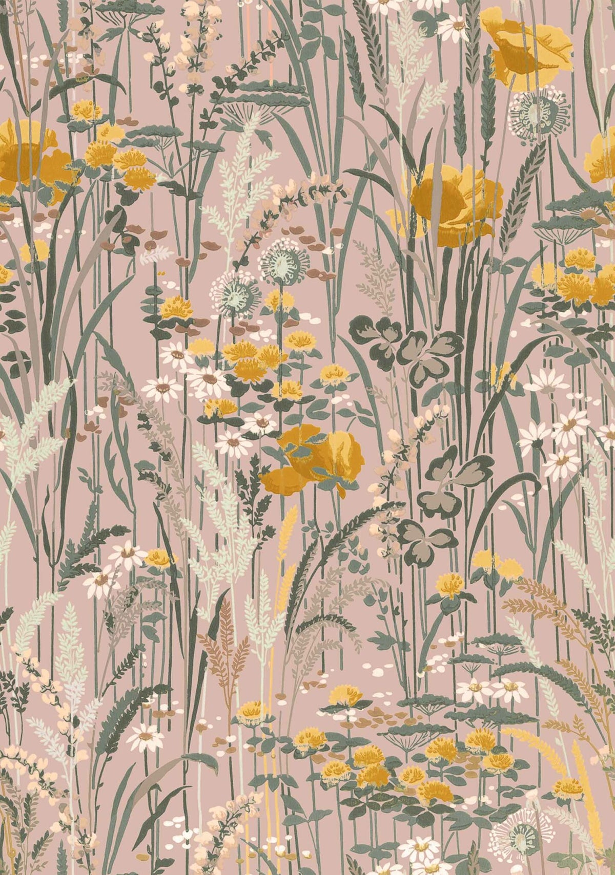 Pradera wallpaper by Coordonné in Rosa, flat pattern view