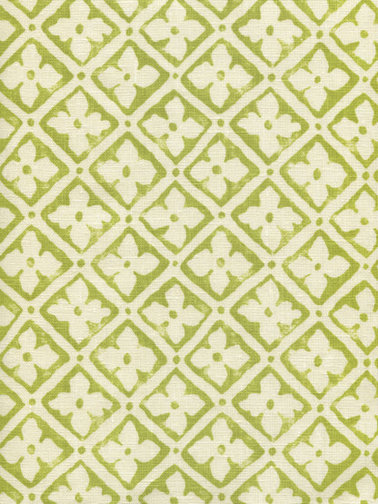 Puccini New Apple on Tinted Linen fabric by Quadrille