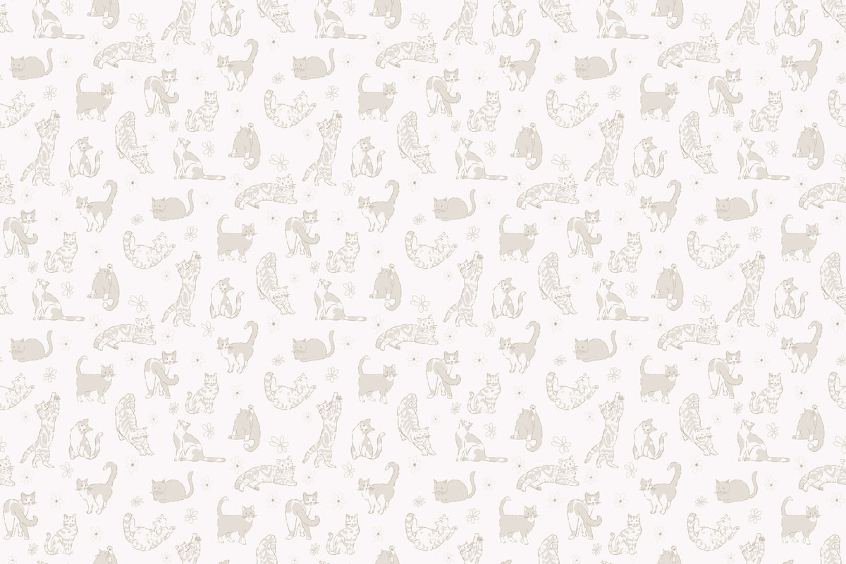 Purfect Cream mural by Hovia