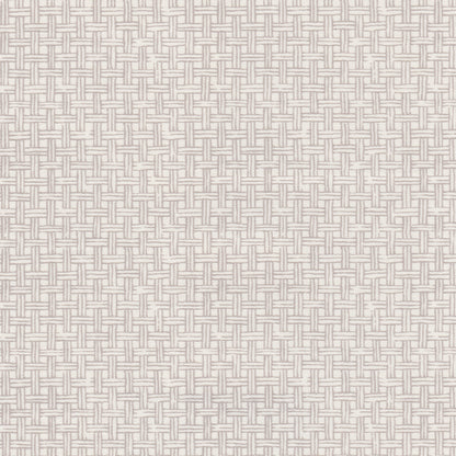 Raffles Fabric by Nile & York in Dove Grey