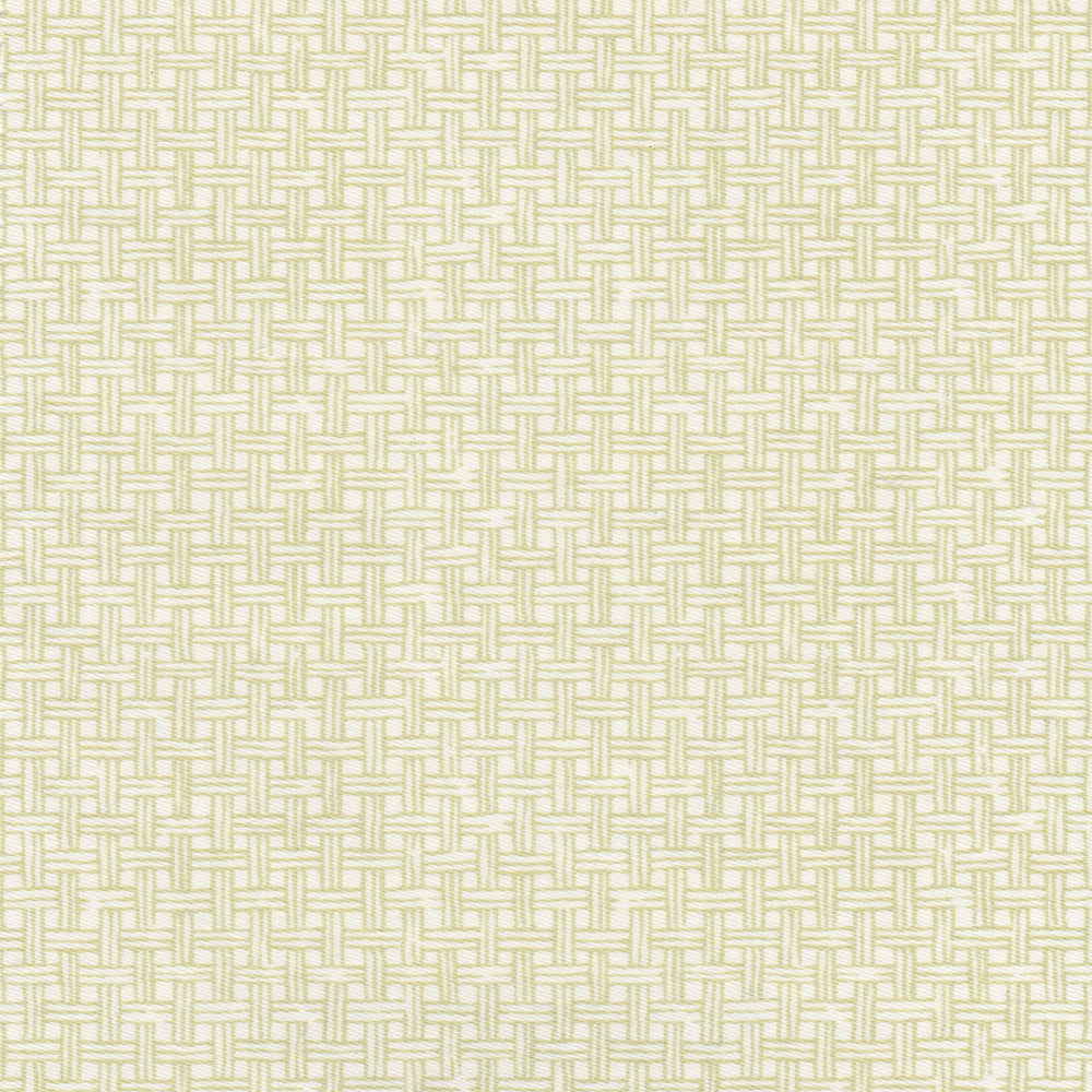 Raffles Fabric by Nile & York in Green