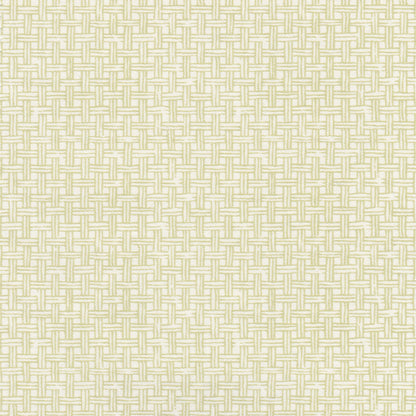Raffles Fabric by Nile & York in Green