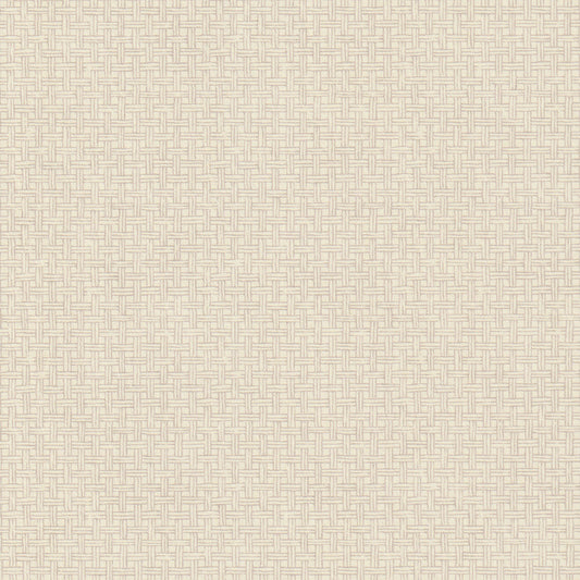 Raffles Wallpaper by Nile & York in Dove Grey