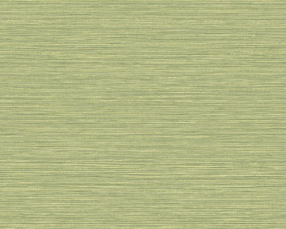Rafia Medi contract wallcovering by Coordonné in No. 64735104, flat pattern view