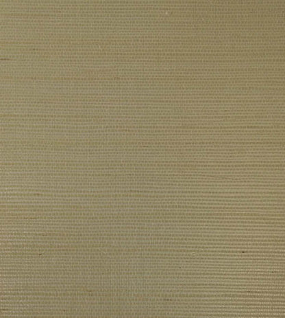 Rafia Plain Wallpaper by Armani Casa 9361