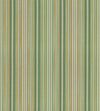 Rainstorm Fabric by GP & J Baker Green