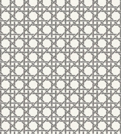 Rattan Wallpaper by Woodchip & Magnolia Mono
