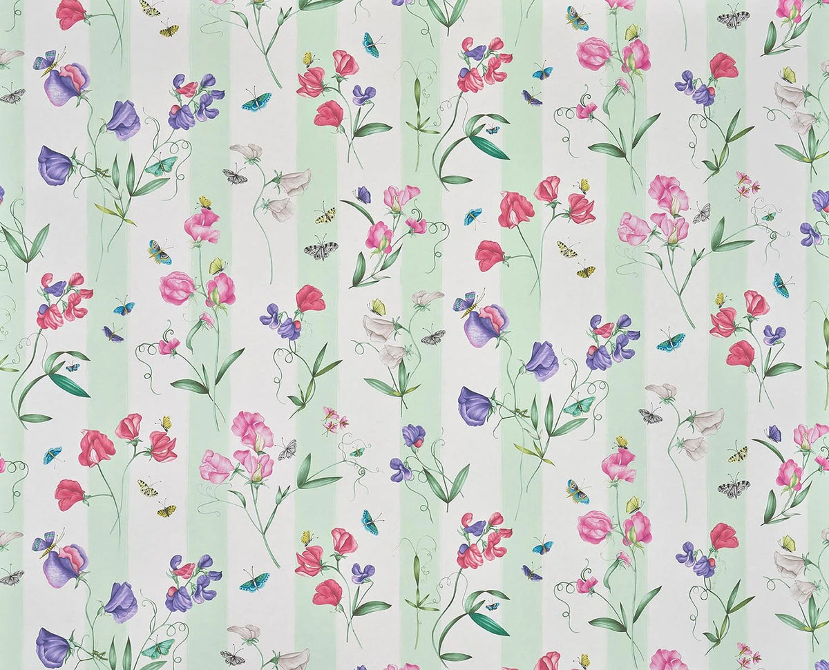 Rayure les Pois de Senteur Wallpaper by Pierre Frey in Creme (FP085001)