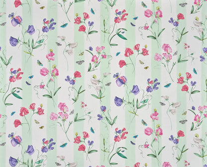 Rayure les Pois de Senteur Wallpaper by Pierre Frey in Creme (FP085001)