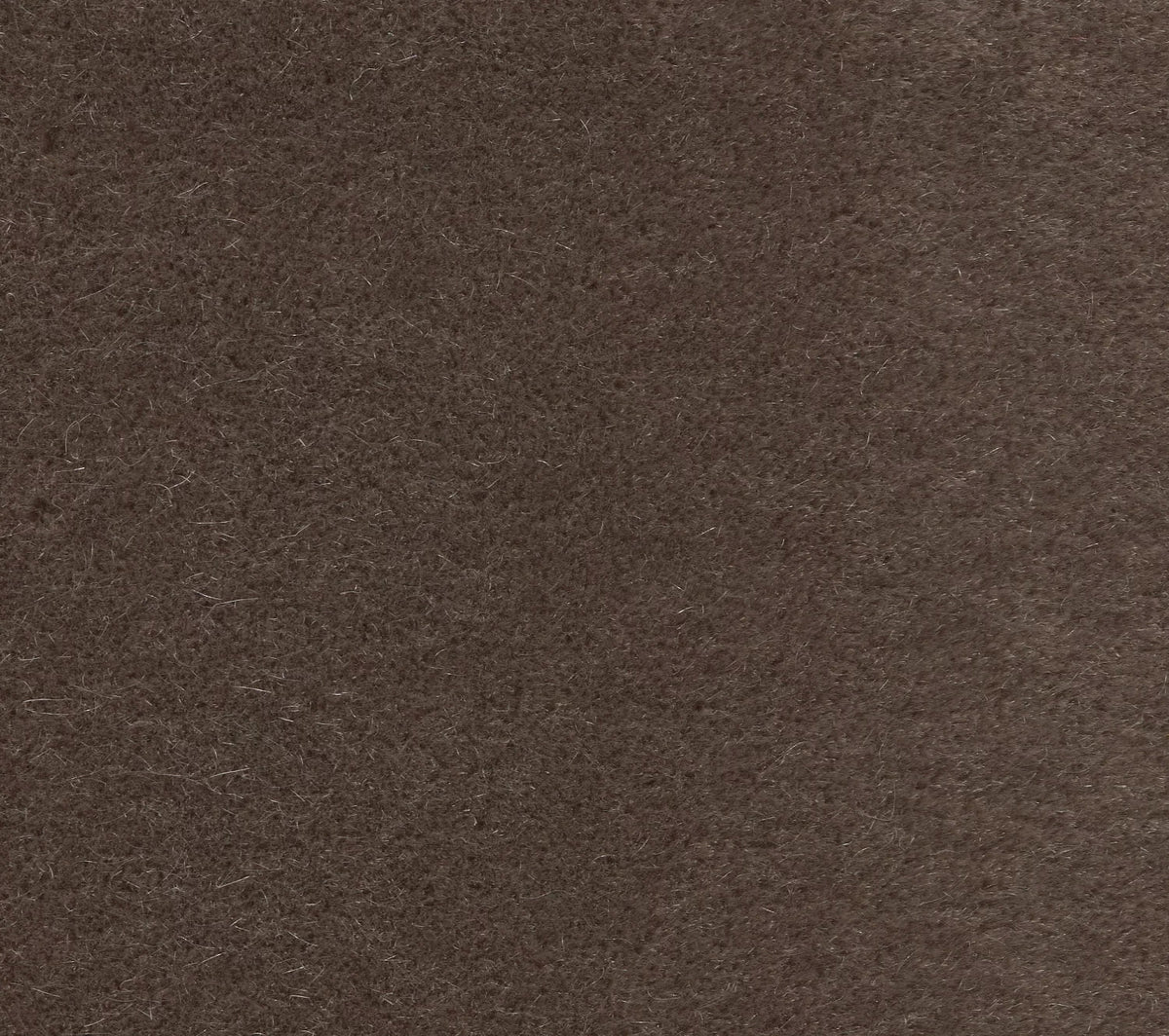 Regal Mohair Soapstone (HC00102) fabric by Home Couture