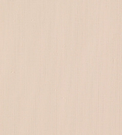 Remo Fabric by Clarke & Clarke Blush