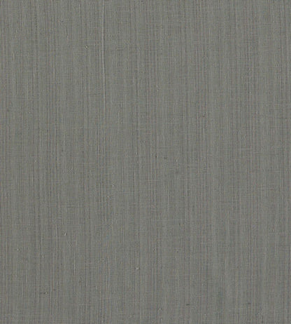 Remo Fabric by Clarke & Clarke Charcoal