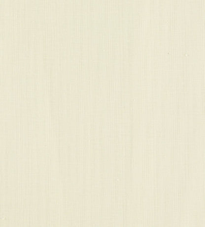 Remo Fabric by Clarke & Clarke Ivory
