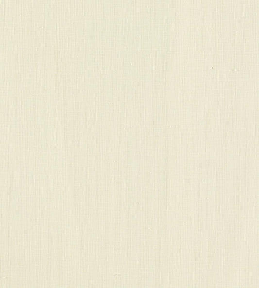 Remo Fabric by Clarke & Clarke Ivory
