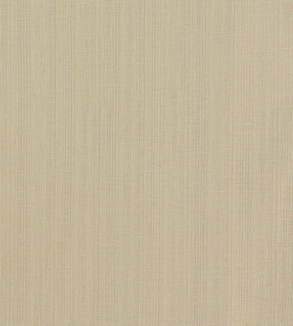 Remo Fabric by Clarke & Clarke Linen
