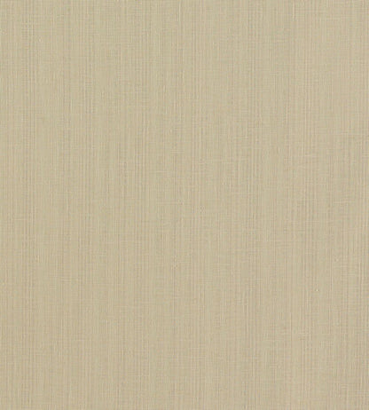 Remo Fabric by Clarke & Clarke Linen