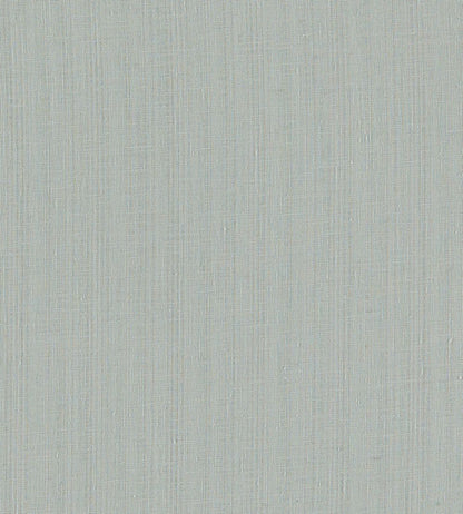 Remo Fabric by Clarke & Clarke Mist