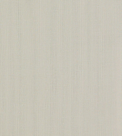 Remo Fabric by Clarke & Clarke Pebble