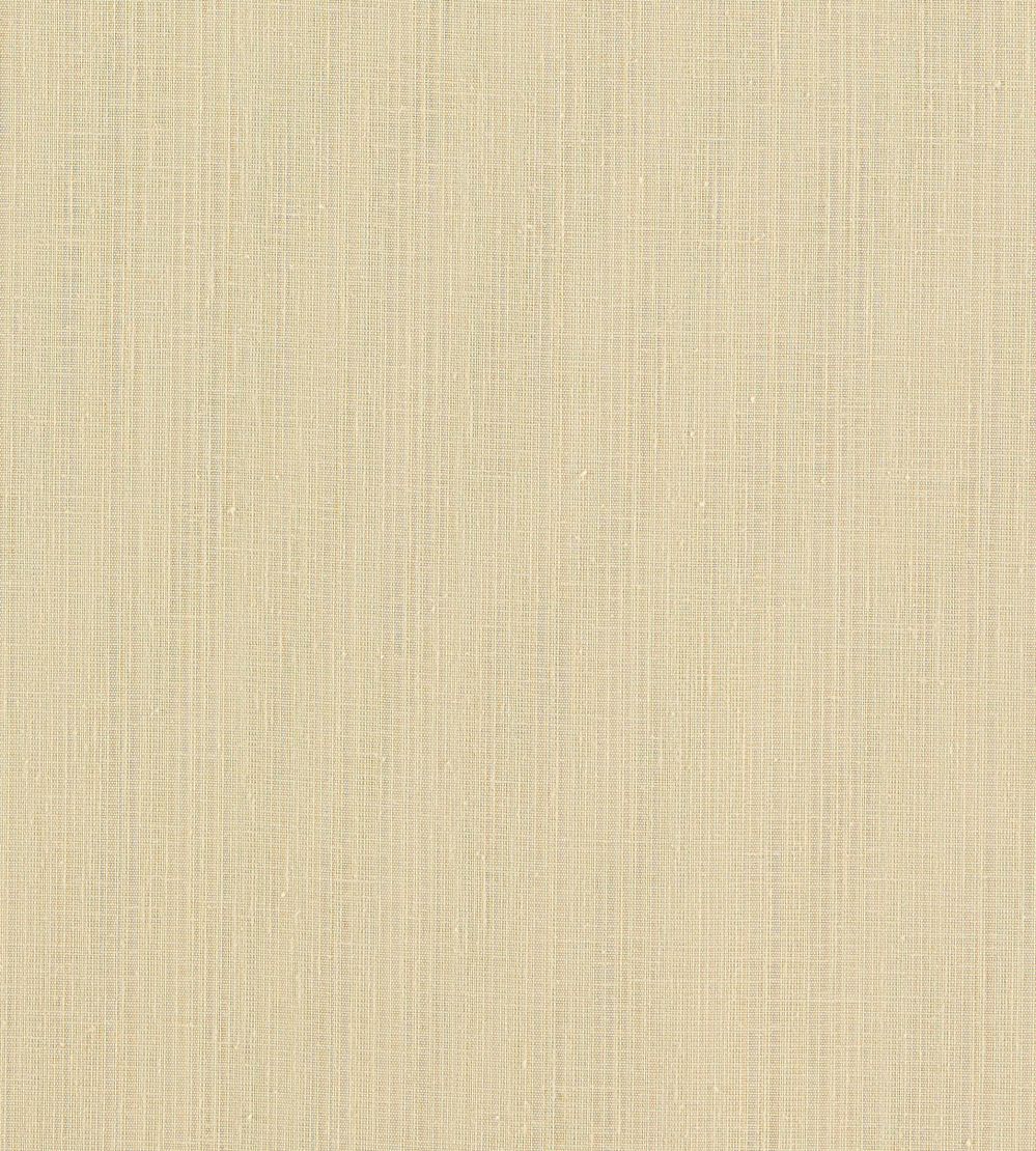 Remo Fabric by Clarke & Clarke Raffia