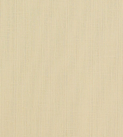 Remo Fabric by Clarke & Clarke Raffia