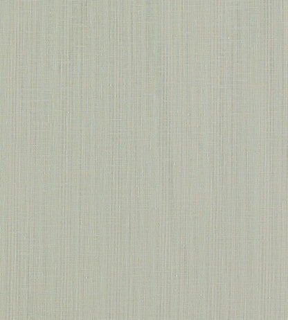 Remo Fabric by Clarke & Clarke Smoke