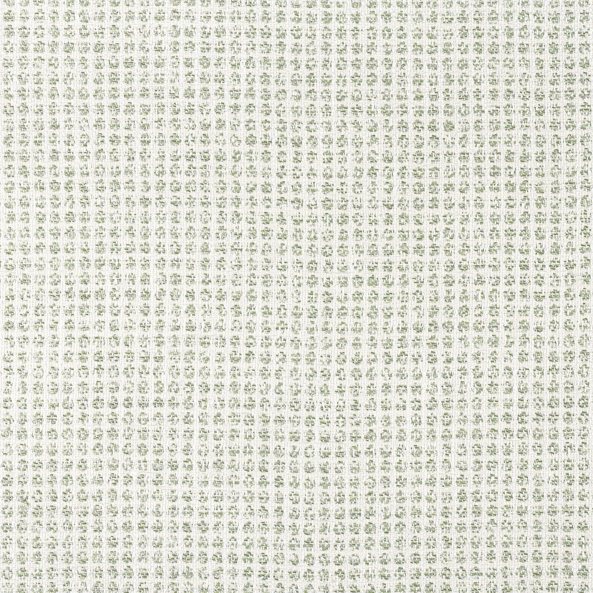 Remy Dot Fabric by Thibaut in Aloe (W8703)
