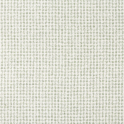 Remy Dot Fabric by Thibaut in Aloe (W8703)