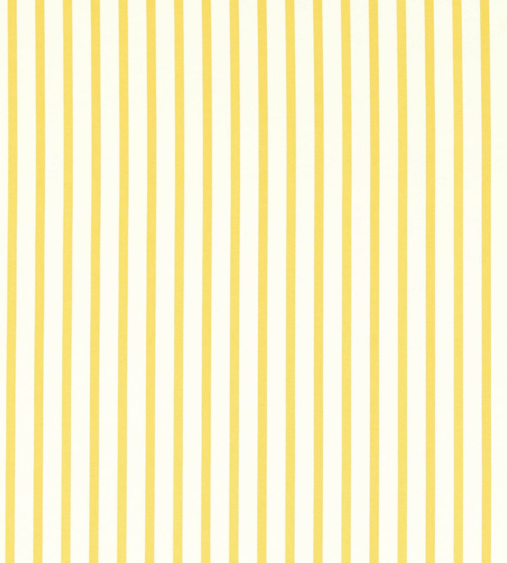 Ribbon Stripe Fabric by Harlequin Citrine