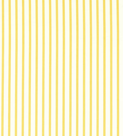 Ribbon Stripe Fabric by Harlequin Citrine