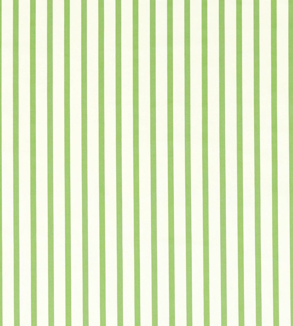 Ribbon Stripe Fabric by Harlequin Peridot