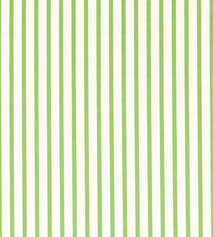 Ribbon Stripe Fabric by Harlequin Peridot