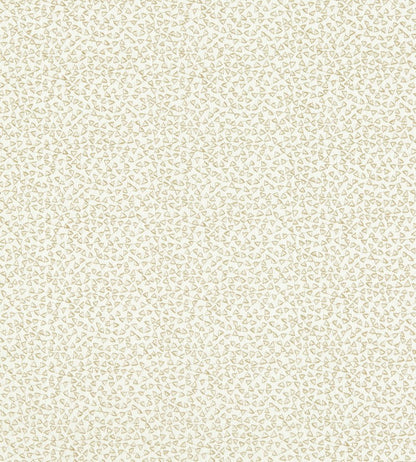 Ricamo Fabric by Clarke & Clarke Ivory