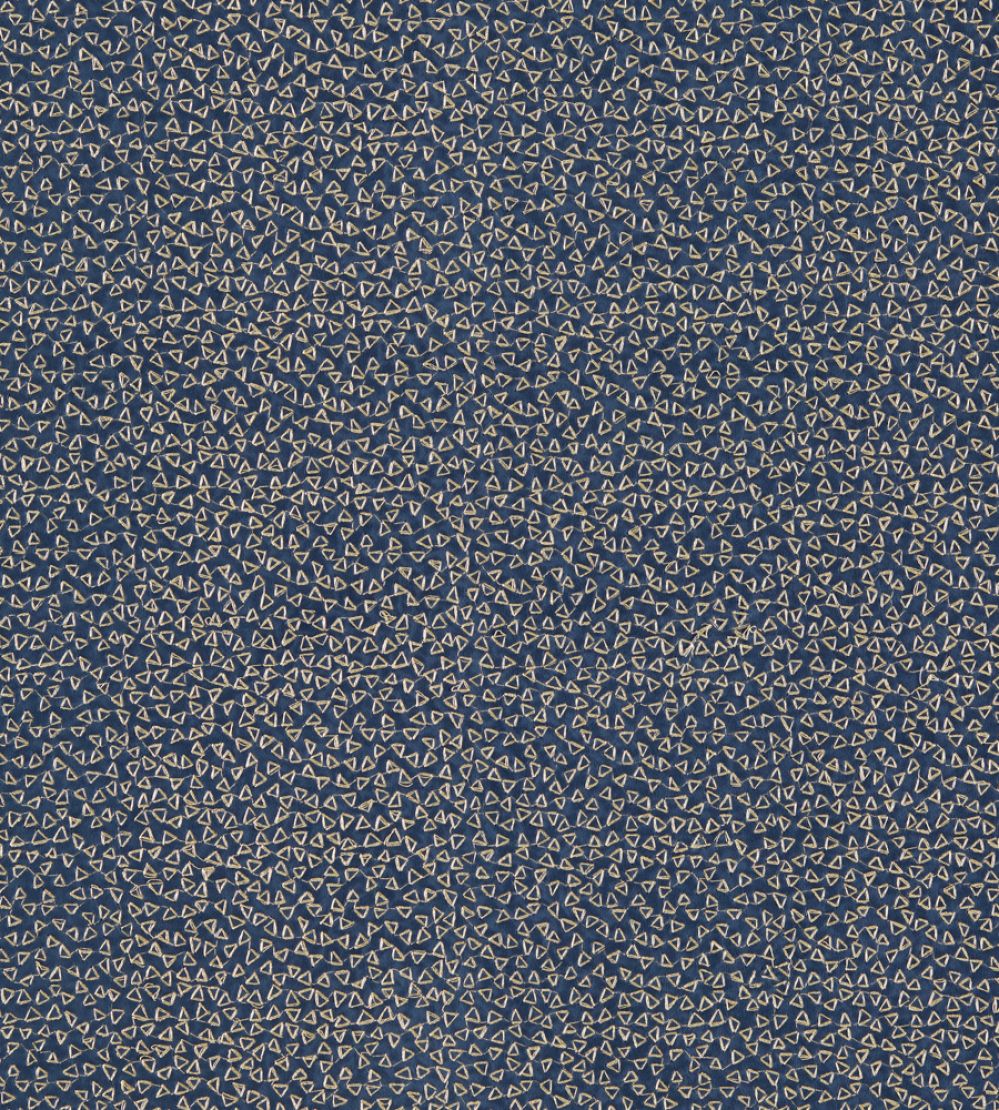 Ricamo Fabric by Clarke & Clarke Midnight