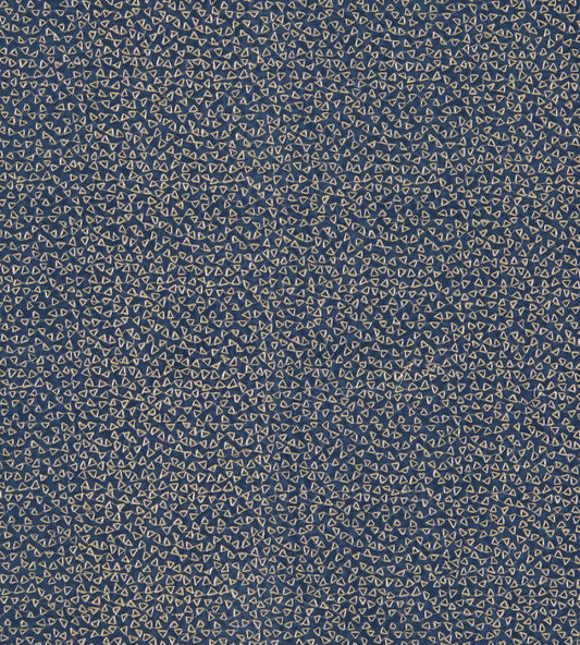 Ricamo Fabric by Clarke & Clarke Midnight
