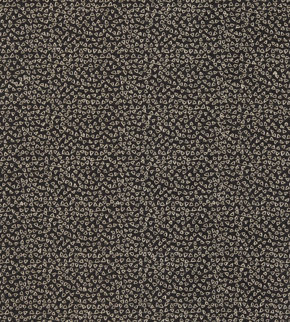 Ricamo Fabric by Clarke & Clarke Nero
