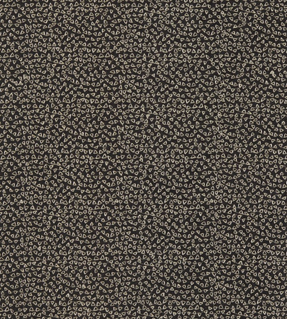Ricamo Fabric by Clarke & Clarke Nero