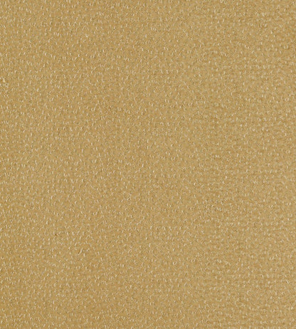Ricamo Fabric by Clarke & Clarke Ochre