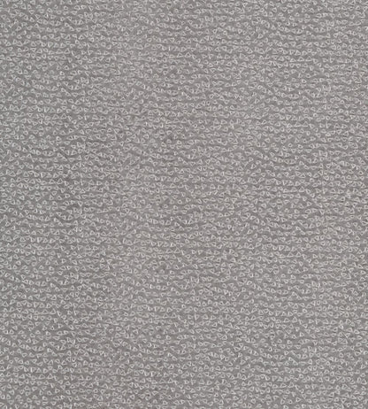 Ricamo Fabric by Clarke & Clarke Pewter
