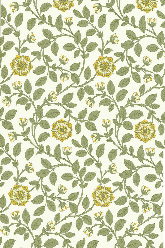 Richmond Green wallpaper by Little Greene in Guinevere